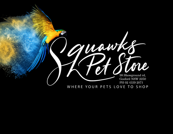 Squawks Pet Store