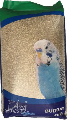 Budgie Blue Mix