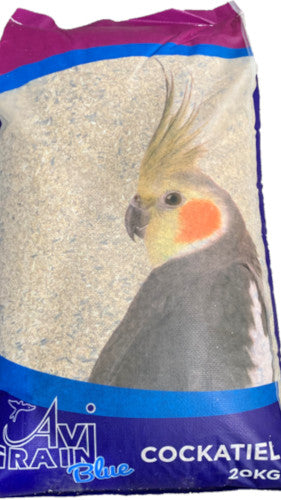 Cockatiel Blue Mix