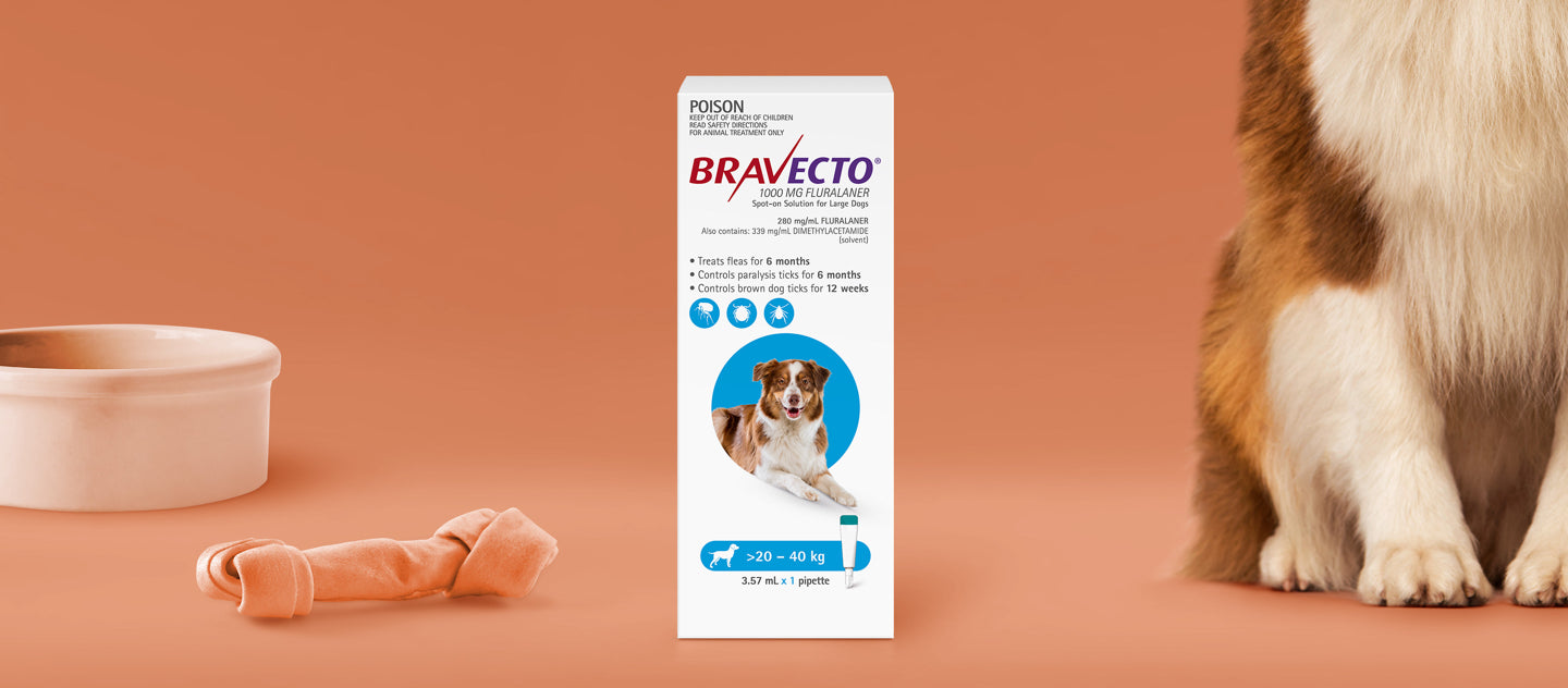 Bravecto Spot on Flea Tick 20 40 kg Squawks Pet Store