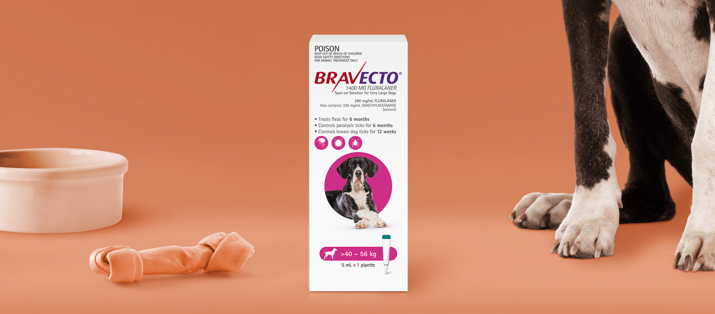 Bravecto on sale in store