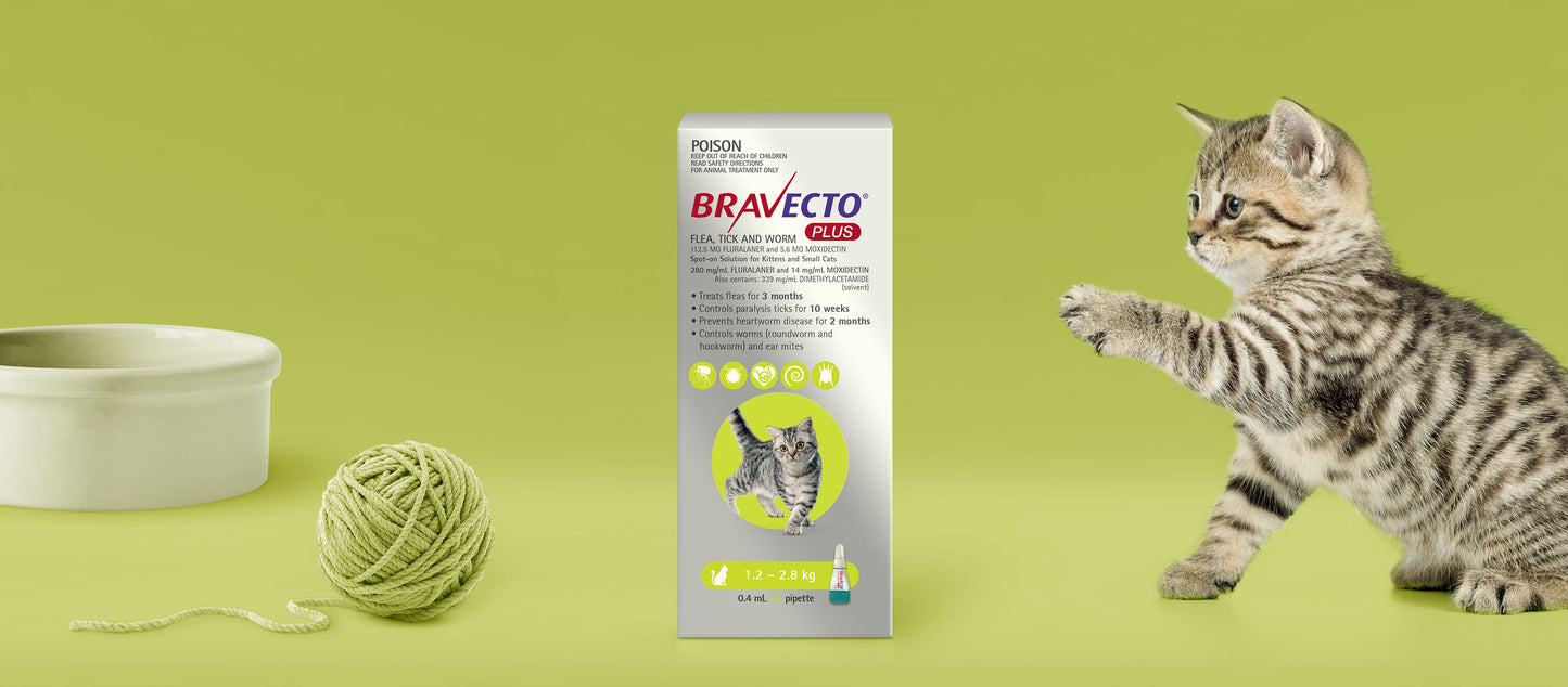 Bravecto Plus - Spot on - Flea, Tick & worm 1.2 - 2.8 kg
