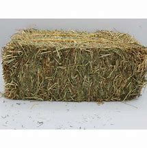 Meadow Hay