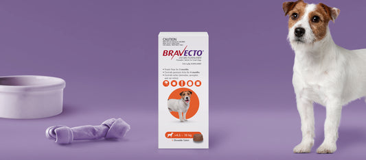Bravecto 2 Tablets Flea & Tick 4.5 - 10 kg