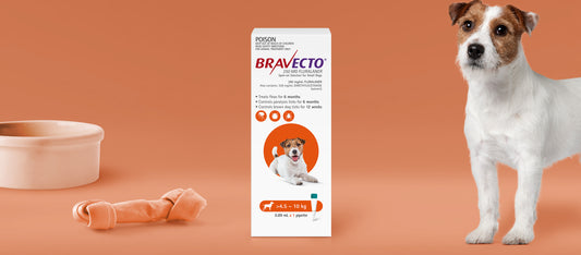 Bravecto - Spot on - Flea & Tick > 4.5 - 10 kg