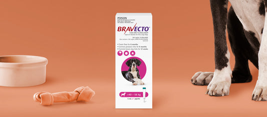 Bravecto - Spot on - Flea & Tick > 40 - 56 kg