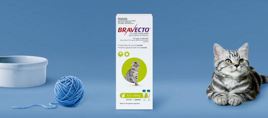 Bravecto - Spot on - flea & tick 1.2 - 2.8 kg